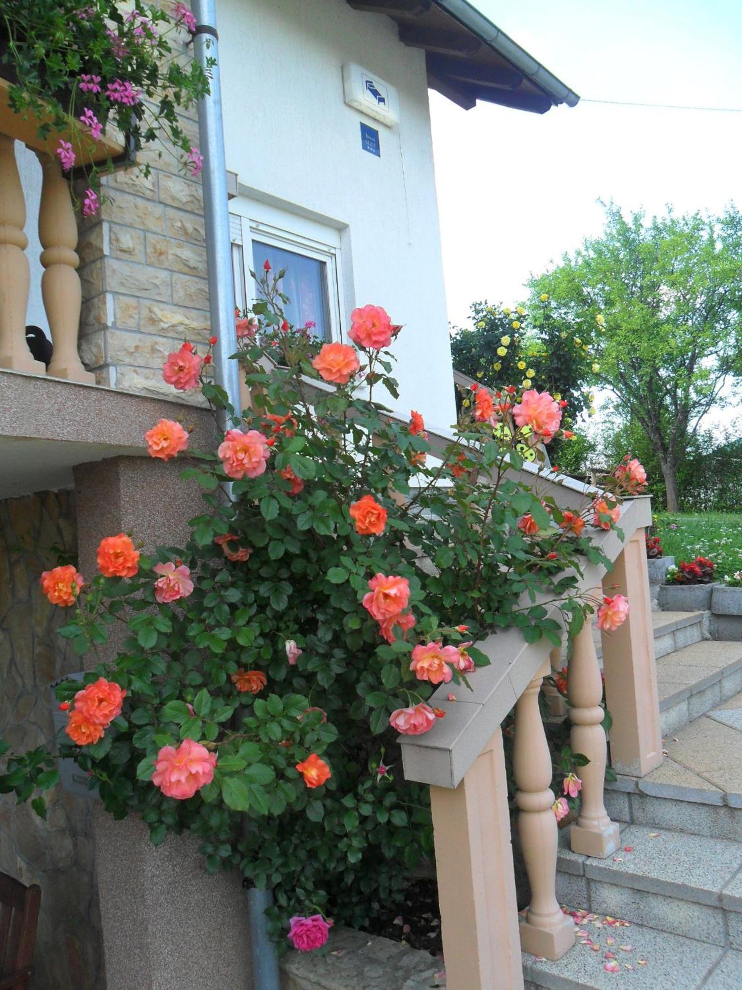 Guesthouse Sara Grabovac  Exterior foto