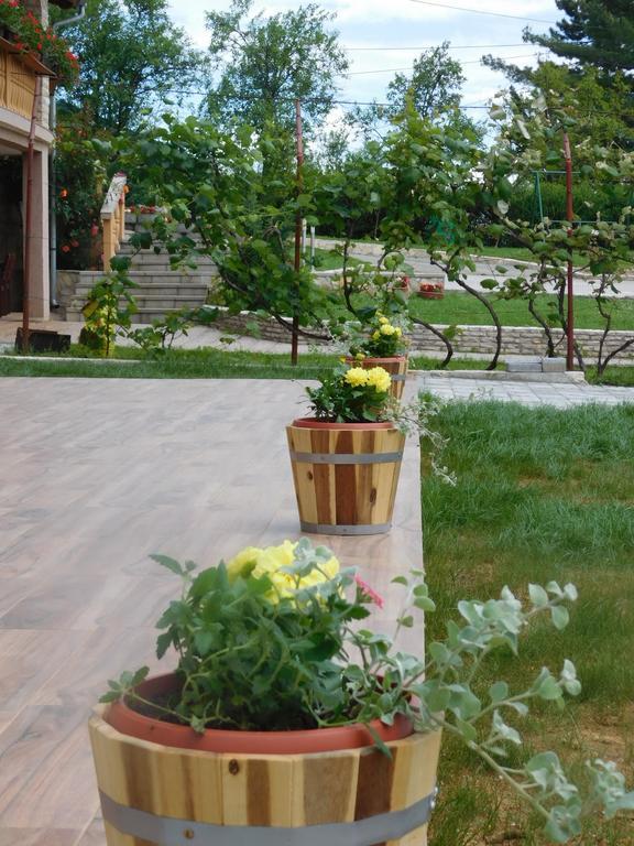 Guesthouse Sara Grabovac  Exterior foto
